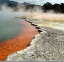 http://novzelandiya.ru/img/pages/Новая Зеландия – одна из самых экологически чистых стран в мире