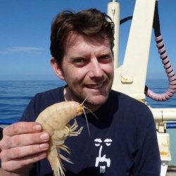 http://novzelandiya.ru/img/pages/В Новой Зеландии обнаружена гигантская креветка